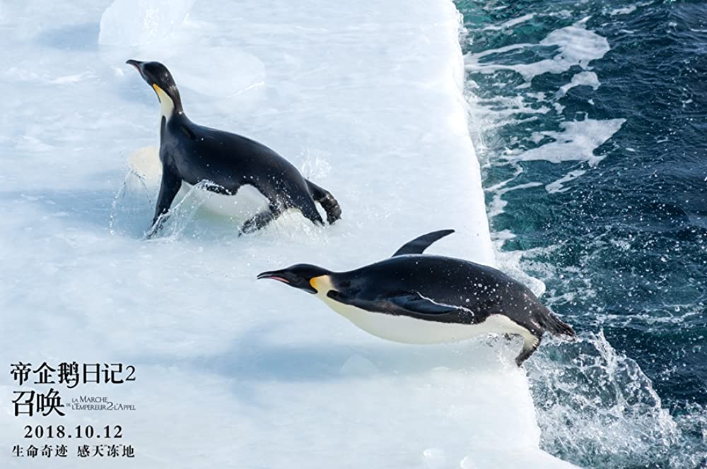 皇帝ペンギン ただいまの画像