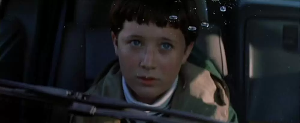 マグノリアの画像