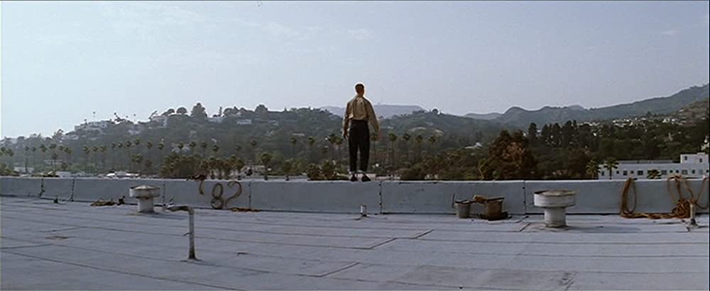 マグノリアの画像