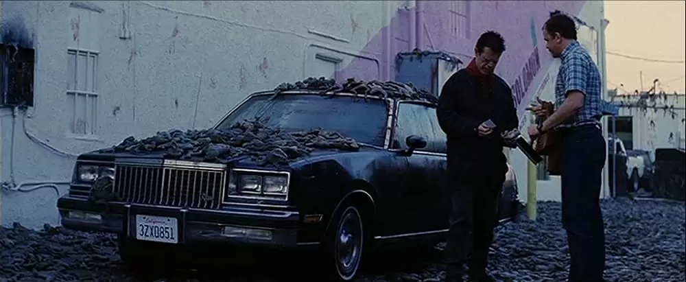 マグノリアの画像