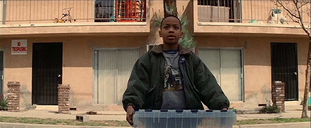 マグノリアの画像