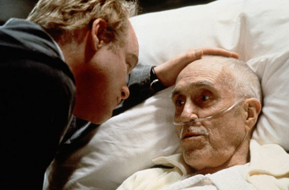 マグノリアの画像