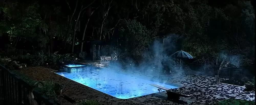 マグノリアの画像