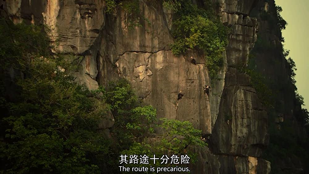 アース：アメイジング・デイの画像