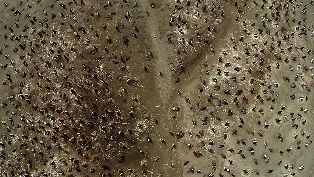 アース：アメイジング・デイの画像