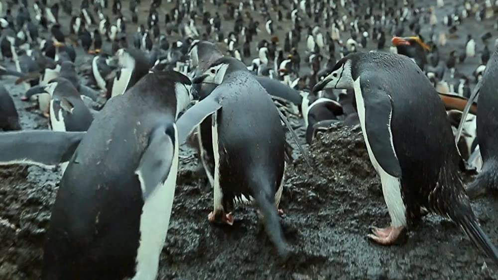 アース：アメイジング・デイの画像