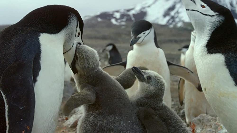 アース：アメイジング・デイの画像