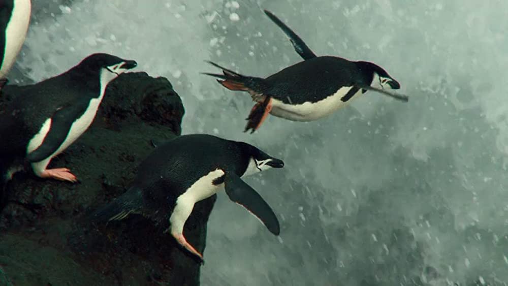 アース：アメイジング・デイの画像