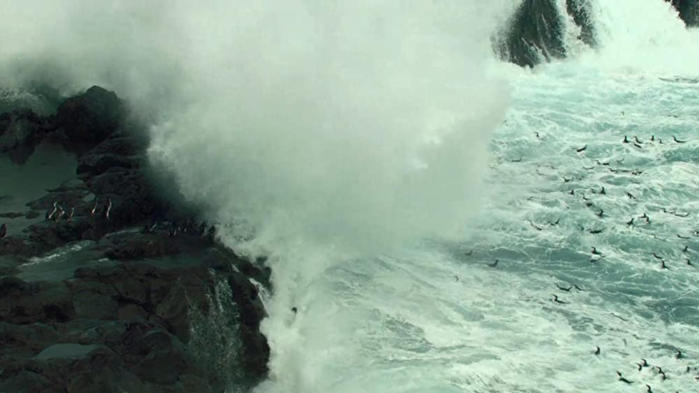 アース：アメイジング・デイの画像