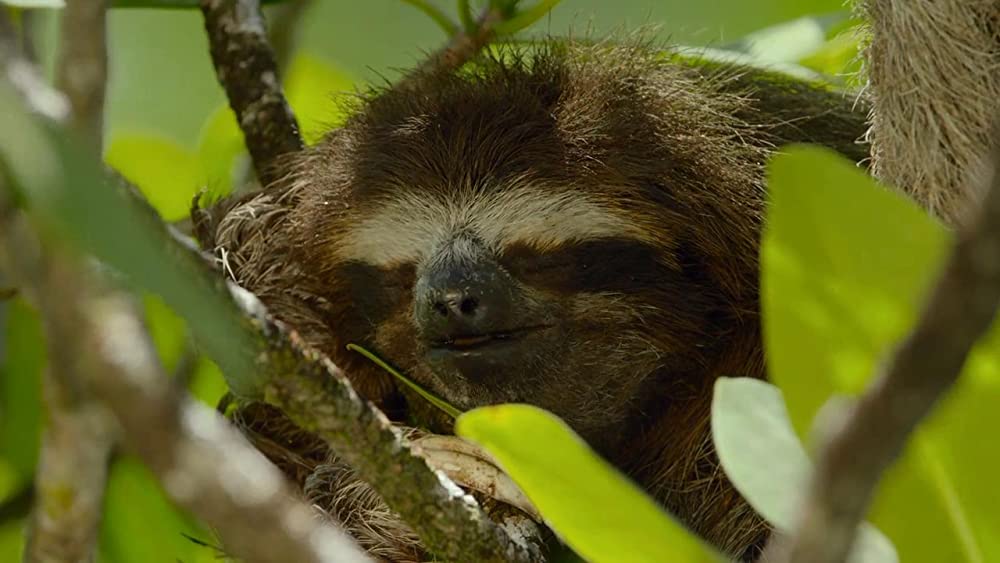 アース：アメイジング・デイの画像