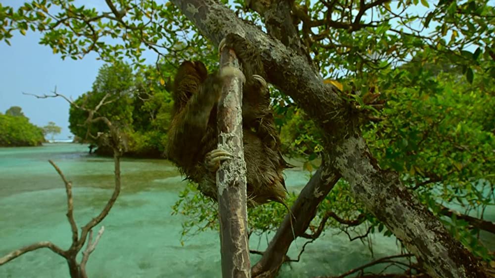 アース：アメイジング・デイの画像