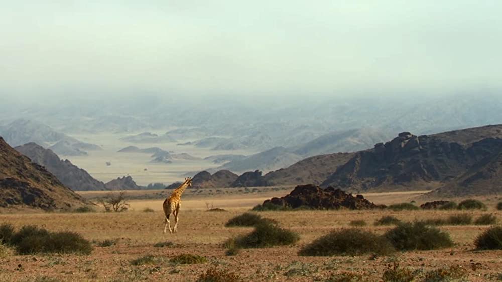 アース：アメイジング・デイの画像