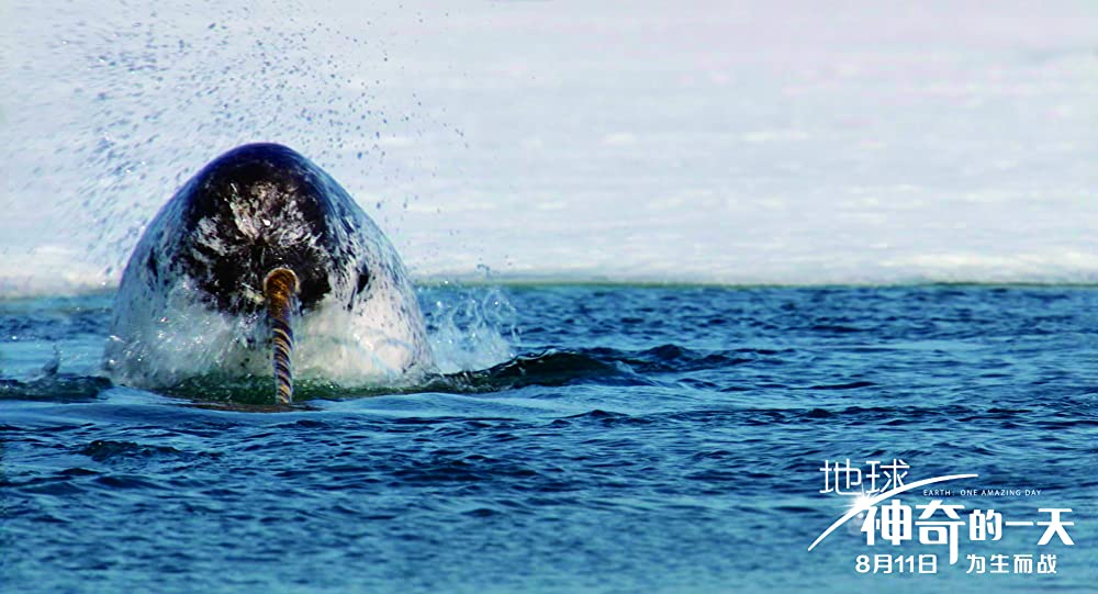 アース：アメイジング・デイの画像