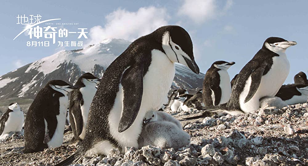 アース：アメイジング・デイの画像