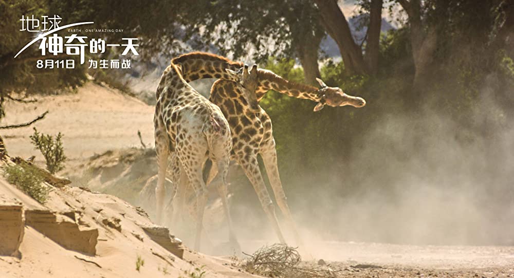 アース：アメイジング・デイの画像