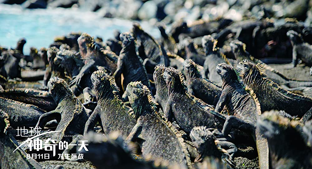 アース：アメイジング・デイの画像