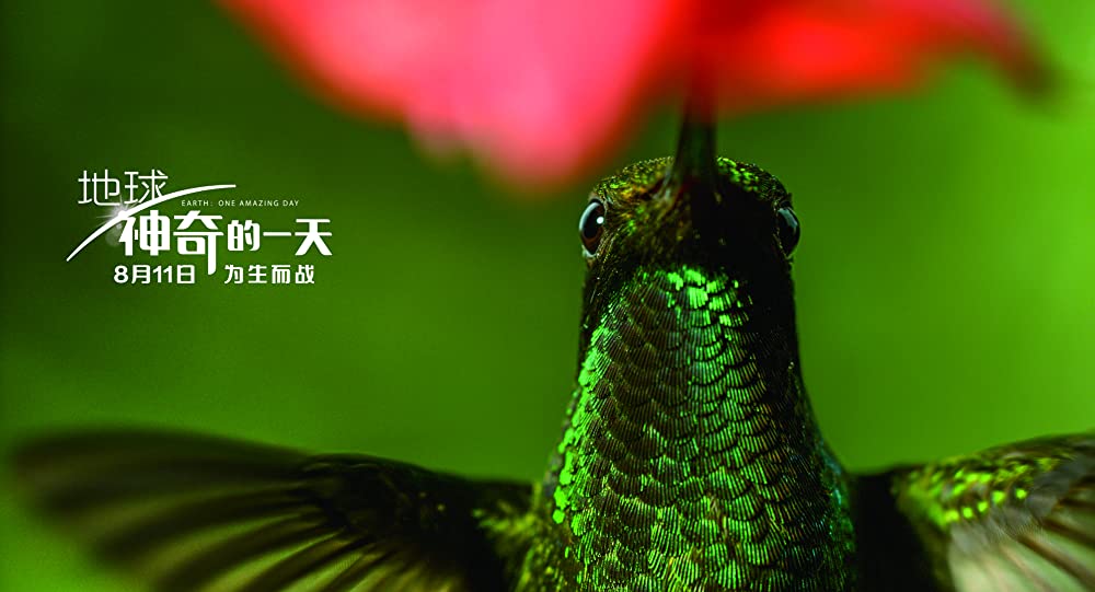 アース：アメイジング・デイの画像