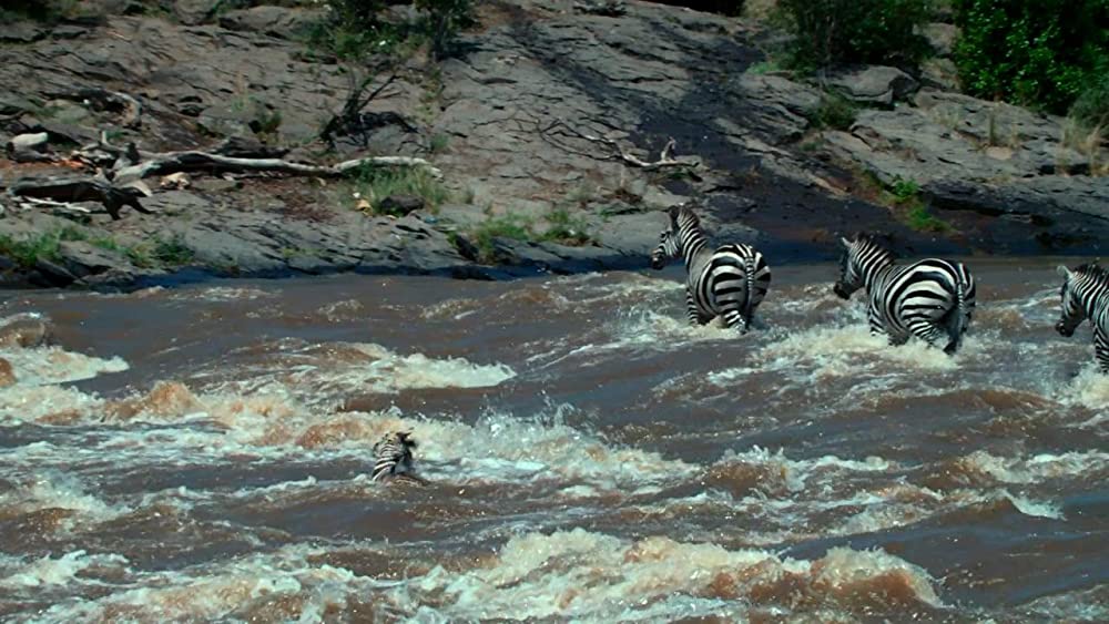 アース：アメイジング・デイの画像