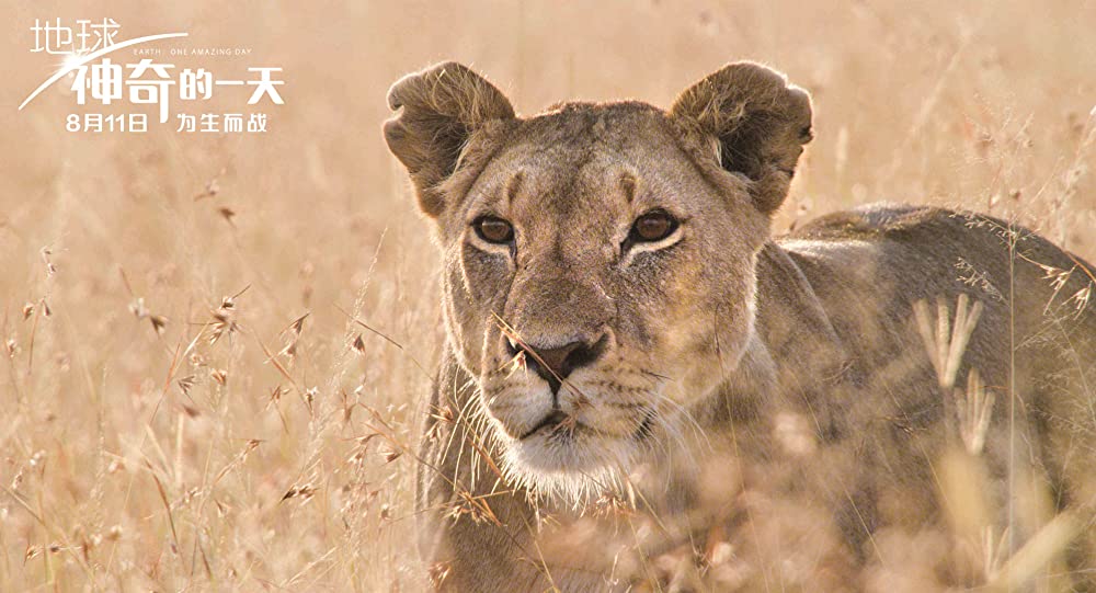 アース：アメイジング・デイの画像