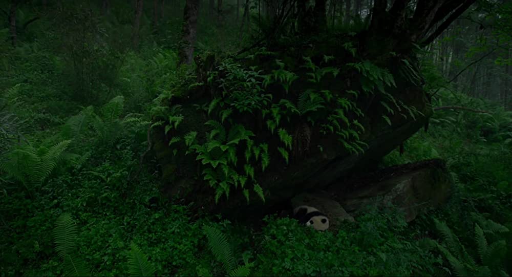 アース：アメイジング・デイの画像