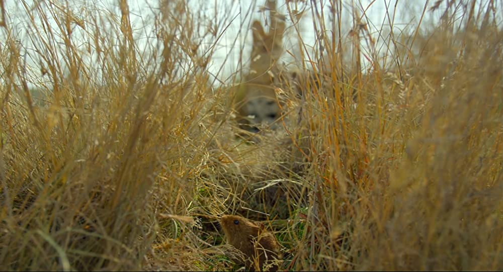 アース：アメイジング・デイの画像