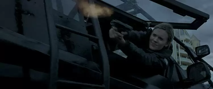 ワイルド・ストームの画像