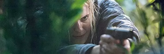 ワイルド・ストームの画像