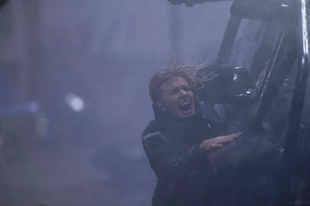 ワイルド・ストームの画像