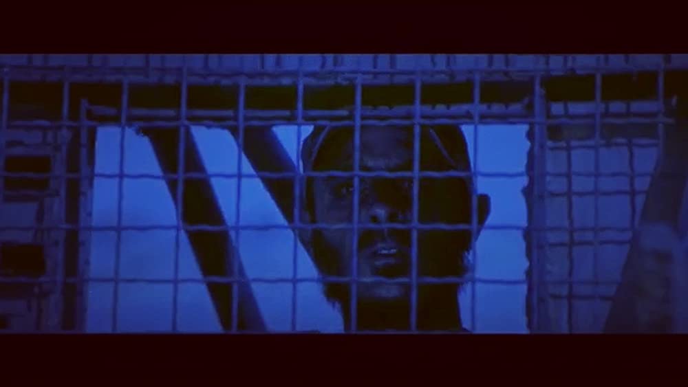 ダマスカスの画像