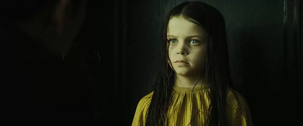 ザ・グラッジ 死霊の棲む屋敷の画像