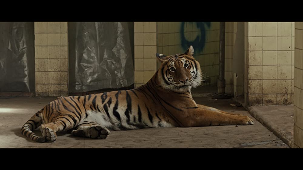 ザ・マミーの画像