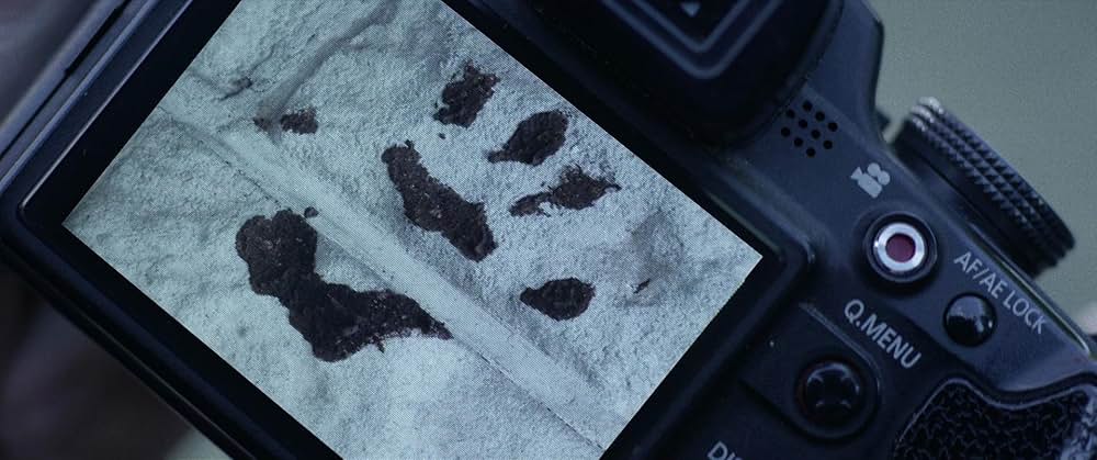 テリファイドの画像