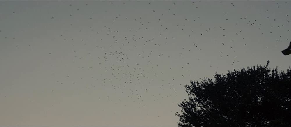 シークレット・チルドレン 禁じられた力の画像