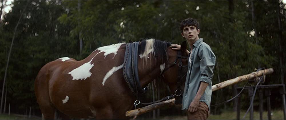 シークレット・チルドレン 禁じられた力の画像