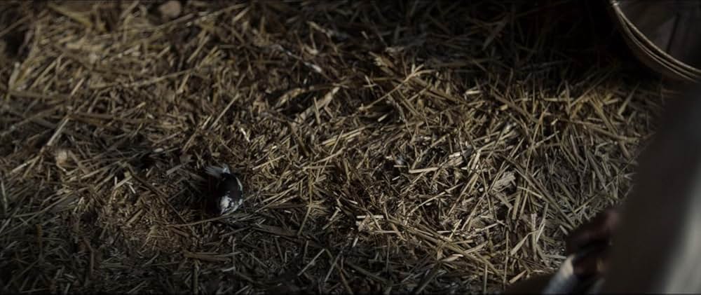 シークレット・チルドレン 禁じられた力の画像