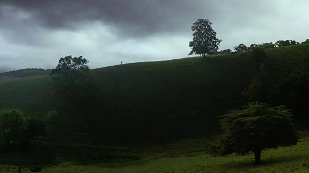 グリーンマイルの画像