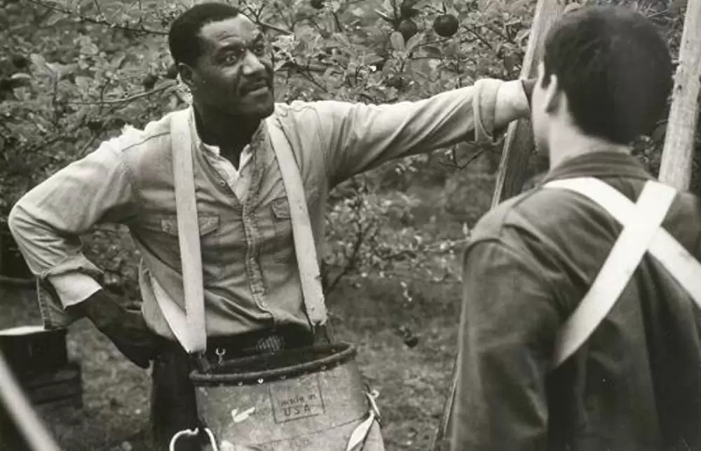 「サイダーハウス・ルール」デルロイ・リンドーの画像