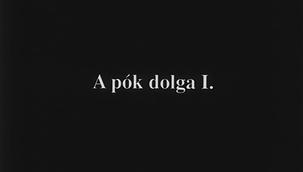 サタンタンゴの画像