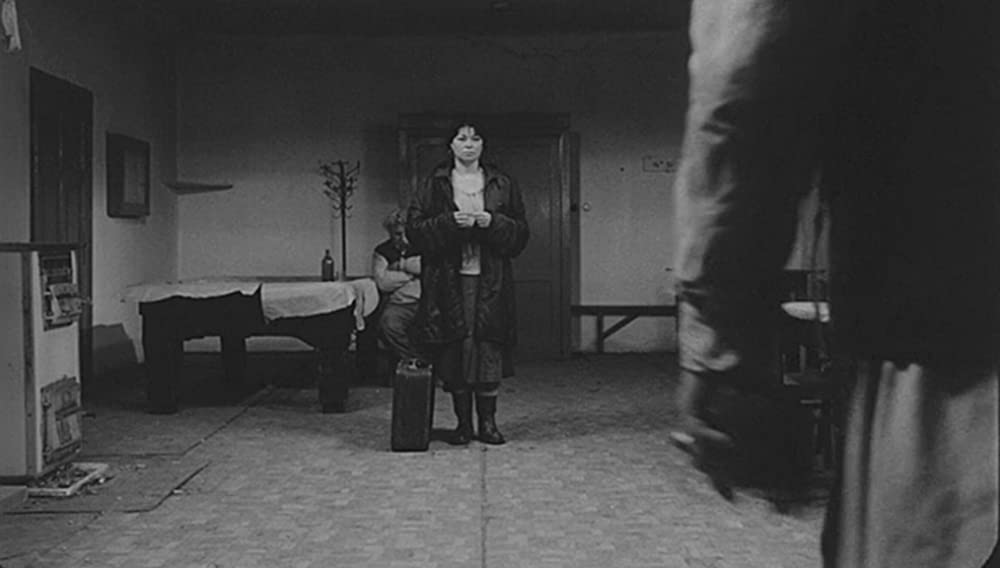 サタンタンゴの画像