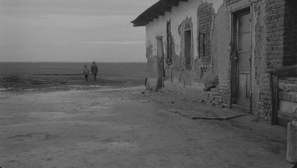 サタンタンゴの画像