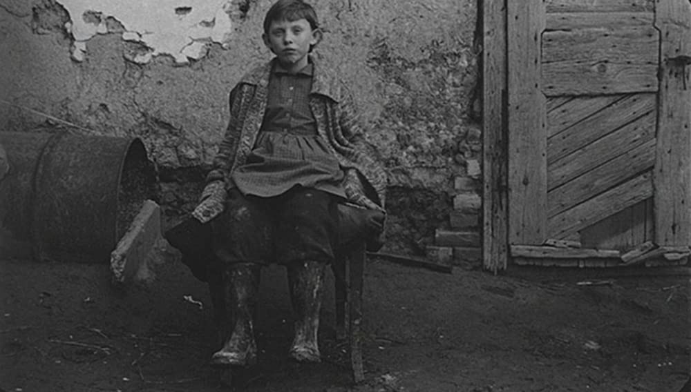 サタンタンゴの画像