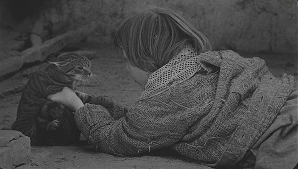 サタンタンゴの画像