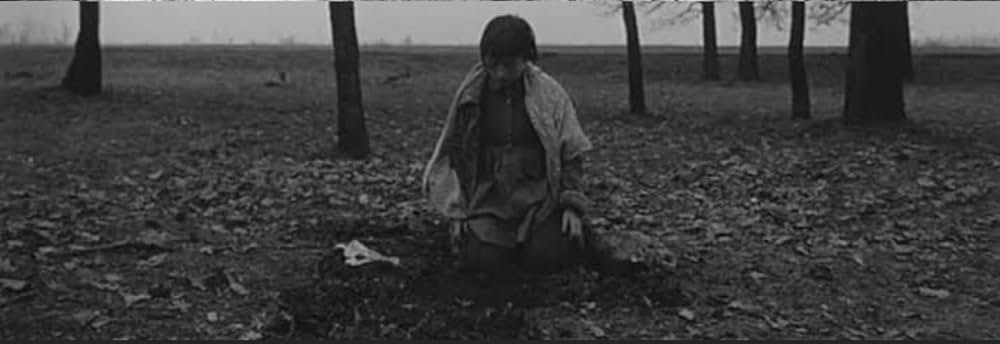 サタンタンゴの画像