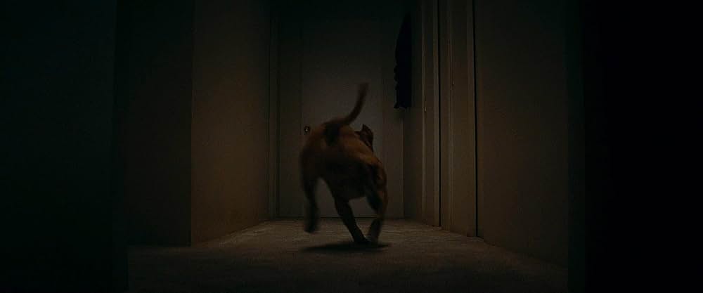 ワンス・アポン・ア・タイム・イン・ハリウッドの画像