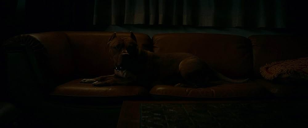 ワンス・アポン・ア・タイム・イン・ハリウッドの画像