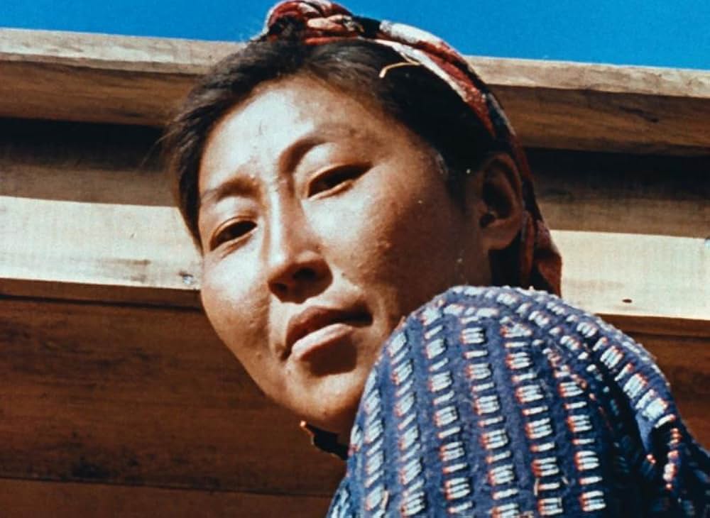 シベリアからの手紙の画像