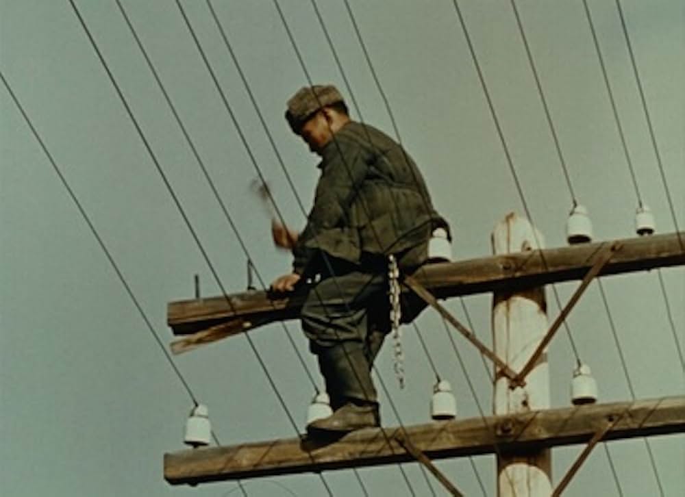 シベリアからの手紙の画像