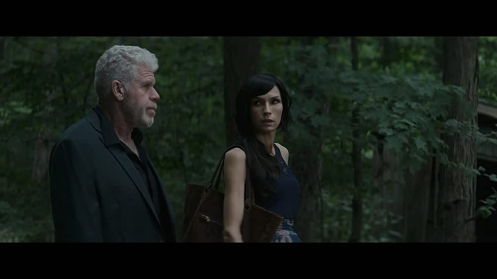 「殺し屋」ファムケ・ヤンセン & ロン・パールマンの画像