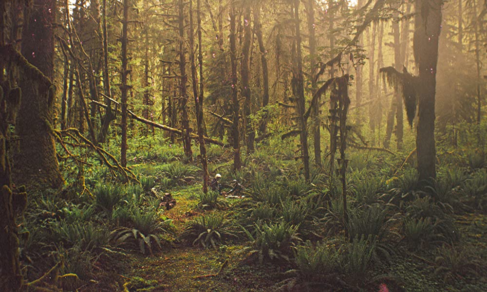 PROSPECT プロスペクトの画像