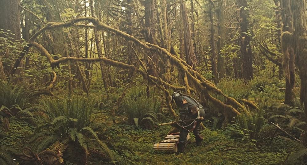 PROSPECT プロスペクトの画像